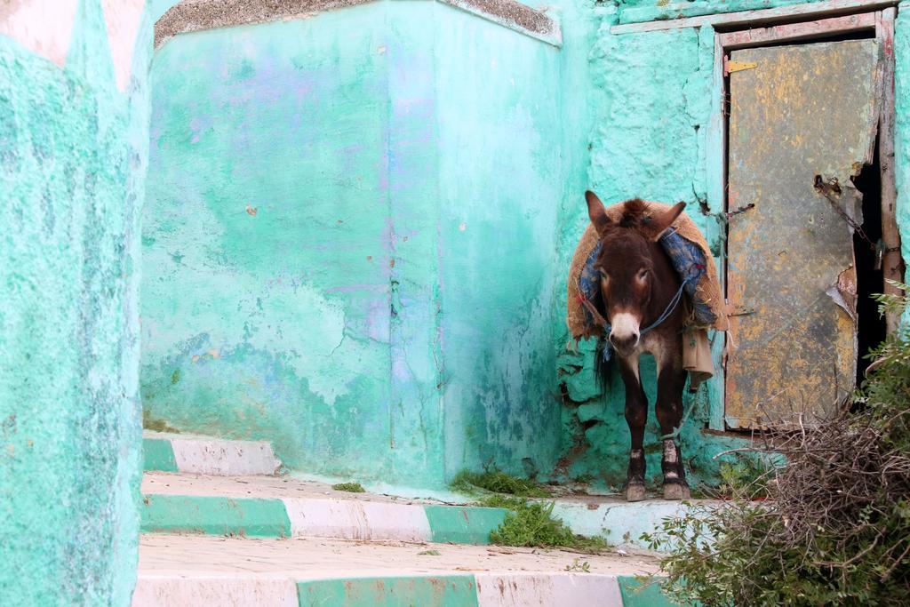 Dar Zerhoune Moulay Idriss Ngoại thất bức ảnh