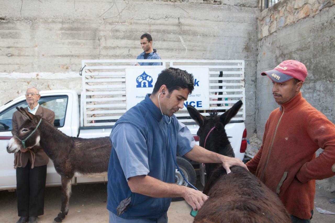 Dar Zerhoune Moulay Idriss Ngoại thất bức ảnh